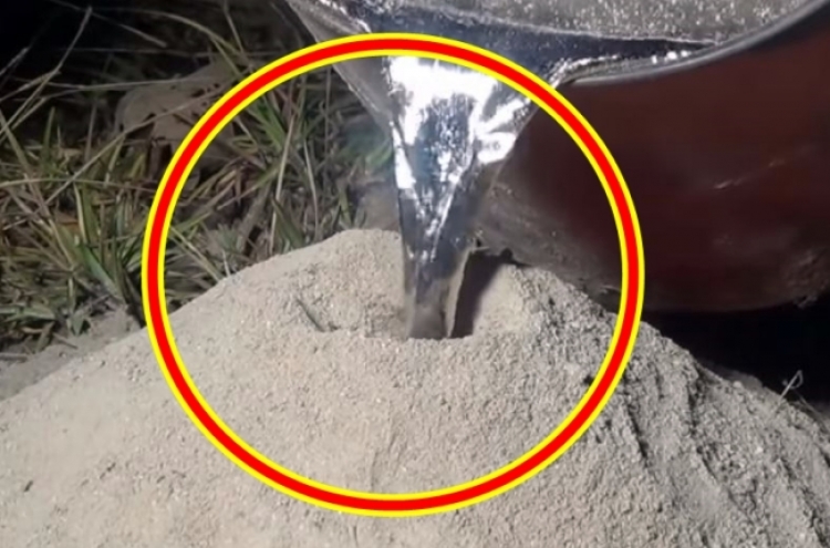 (영상) 개미굴에 펄펄 끓는 ‘쇳물’ 부었더니… ‘경악’