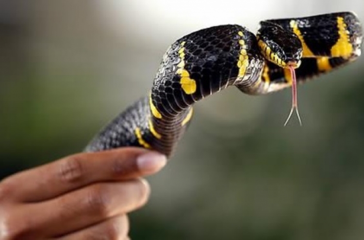 Firefighters warn over venomous snakes after park sighting