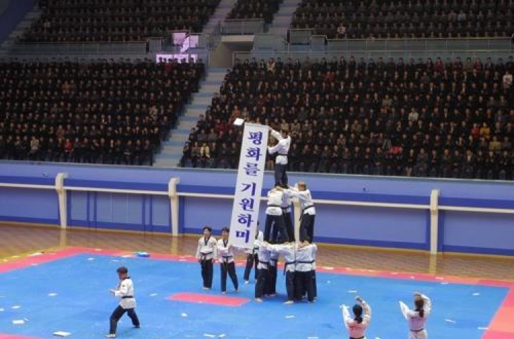 All-S. Korean taekwondo demonstration team performs in Pyongyang