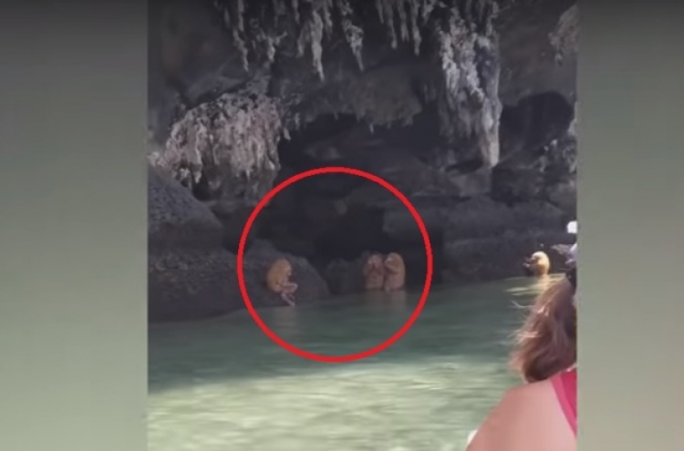 (영상) 섬에서 피리부는 거대 털북숭이의 정체는?