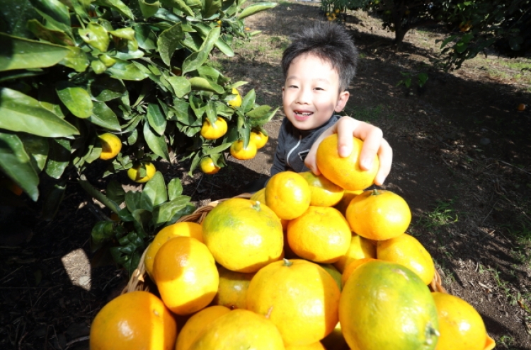 Cheong Wa Dae gifts NK tangerines in return for mushrooms