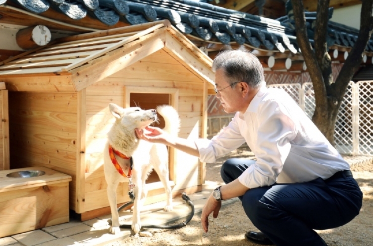 Pungsan dog gifted by NK leader to Moon gives birth to six puppies