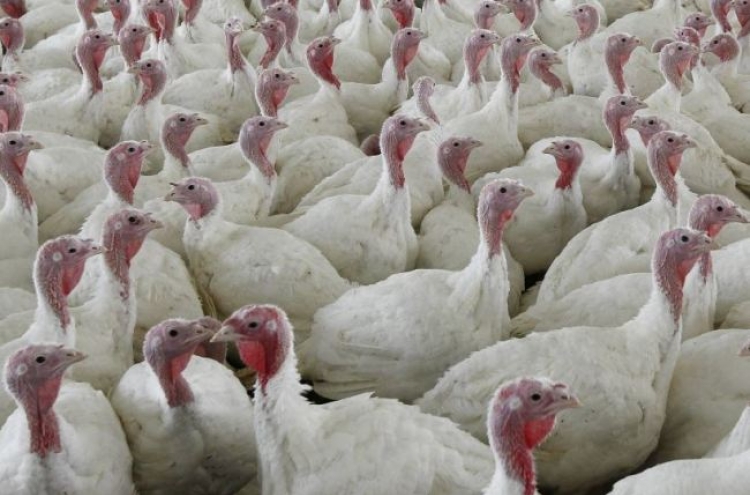 Why a salmonella outbreak shouldn’t ruin your Thanksgiving