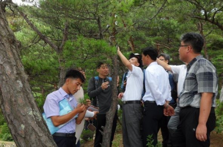 Koreas discuss cooperation to fight tree diseases, modernize tree nurseries