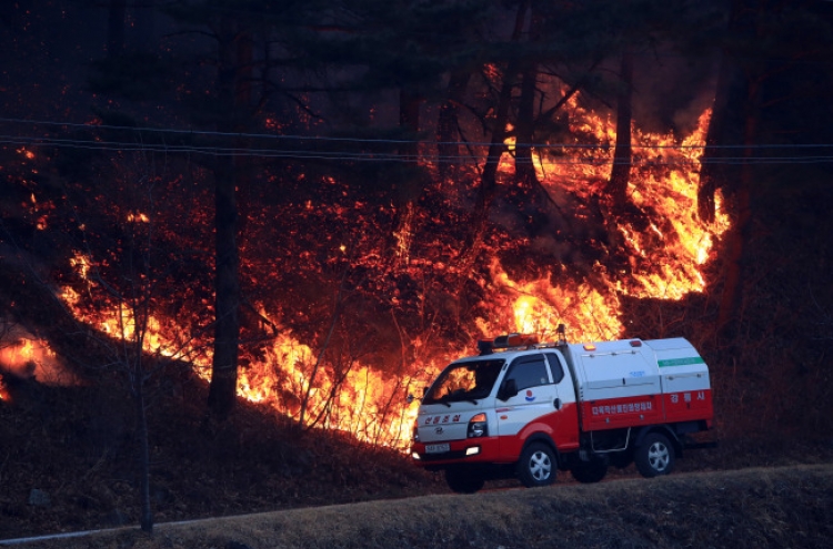Fire in Yangyang burns 20 ha of forest