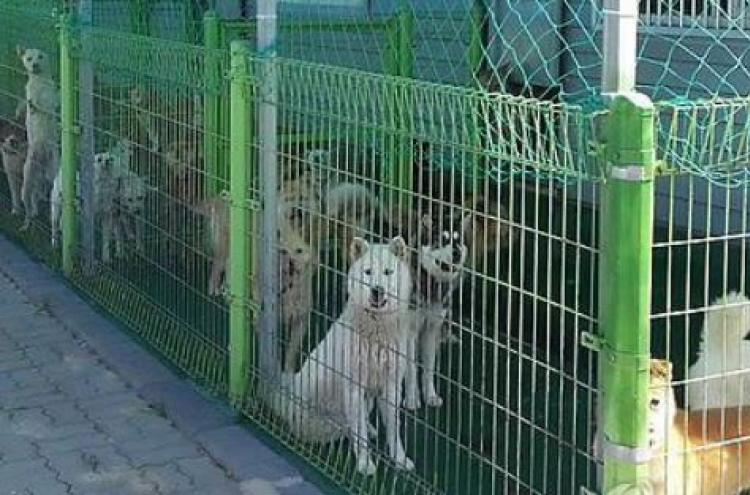 Agriculture Ministry to strengthen penalties for animal abuse