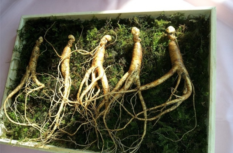 N. Korea adopts law on cultivation, distribution of ginseng