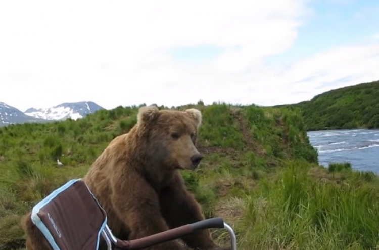 (영상) ‘실제상황’ 거대한 곰이 다가오면?