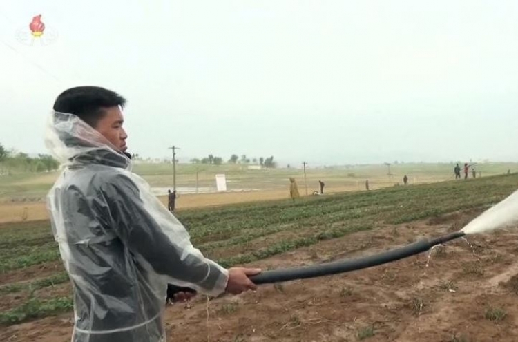 N. Korean media warn prolonged drought affecting rice, other crop growth