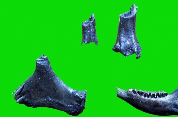 Relics of Paleolithic era found in N. Korea's southwest