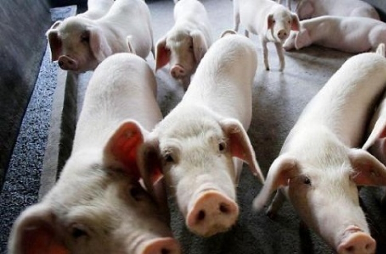 Another suspected African swine fever case reported in S. Korea