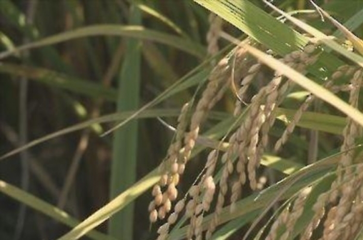 WTO to allow S. Korea to keep current tariff rate on imported rice