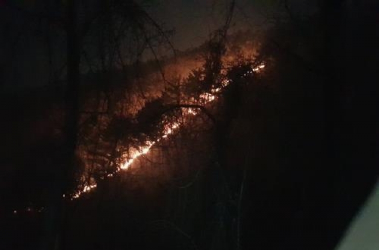 Gangwon fire almost contained after burning 2 ha of forest