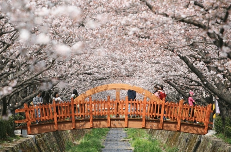 Changwon bars access to cherry blossom sites amid coronavirus concerns