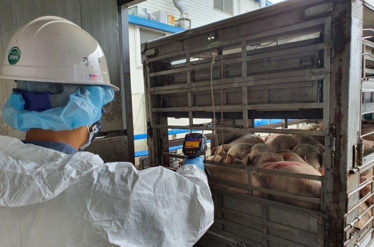 [Feature] Pig farmers cry for help from prolonged ASF outbreak
