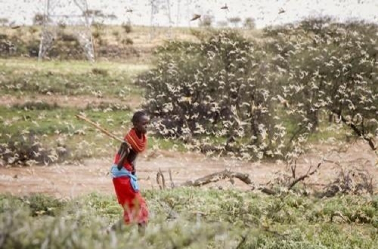 S. Korea to provide $4m in aid to 14 countries hit by locust swarms
