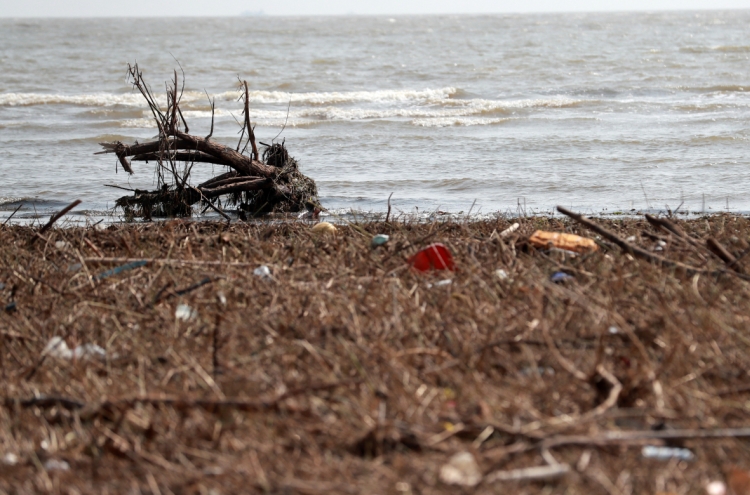 Typhoons leave behind mountains of trash on east coast beaches