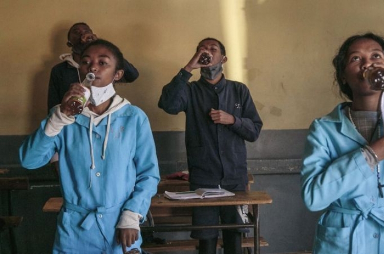 아프리카 전통약재가 코로나 치료?…WHO, 임상시험 허가