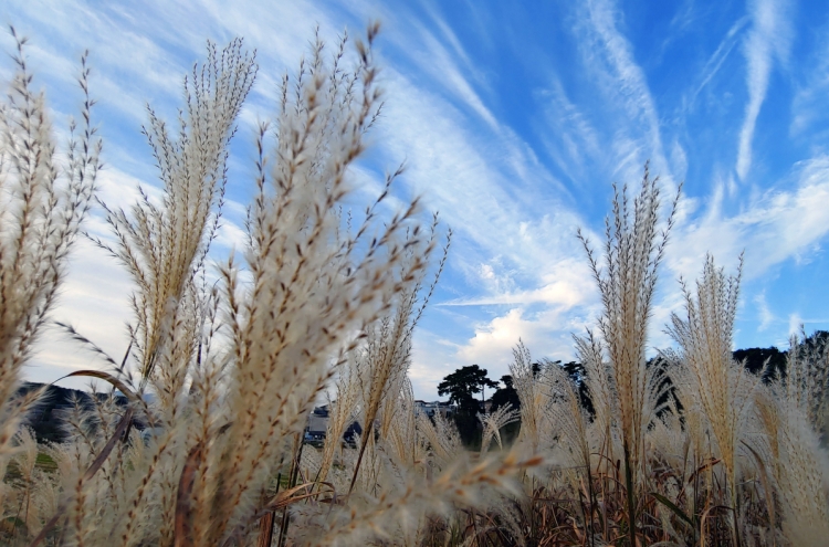 [Photo News] White clouds painted across clear, sunny sky in Gangneung
