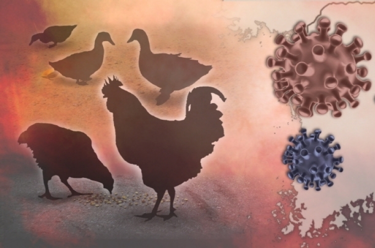 S. Korea reports 5th case of highly pathogenic H5N8 bird flu