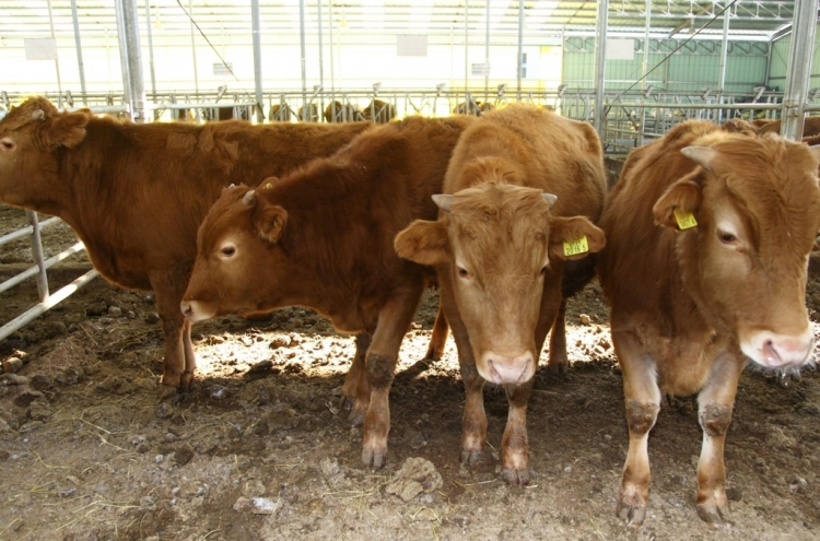 Number of beef cattle in S. Korea gains 3.9% in Q4