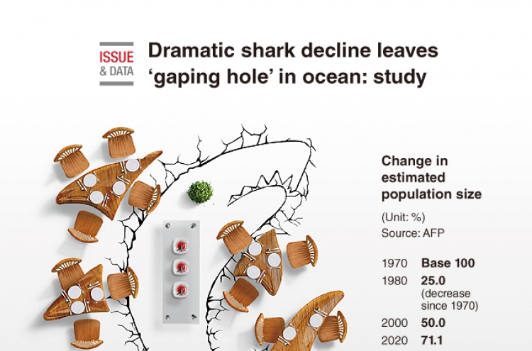 [Graphic News] Dramatic shark decline leaves ‘gaping hole’ in ocean: study