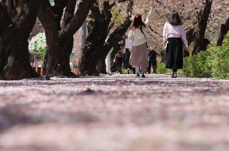S. Korea records highest temperature for March, earliest cherry blossom bloom in Seoul in 99 yrs
