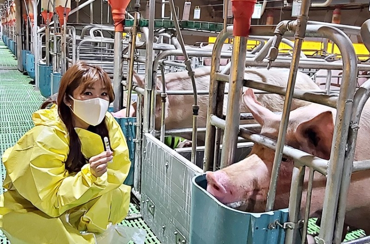 Local company develops smart livestock management solution for pigs