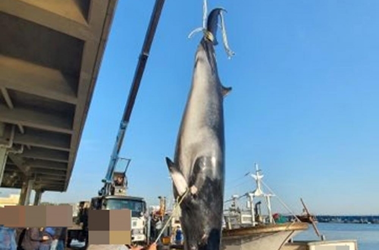 S. Korea tightens regulations on sales of whales