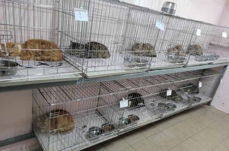 Landlord who reported tenant for abandoning 14 cats turns out to be their owner