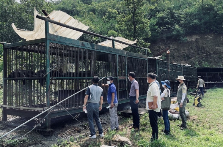 Escaped bears expose decades-old problems of inhumane bile farming in S. Korea