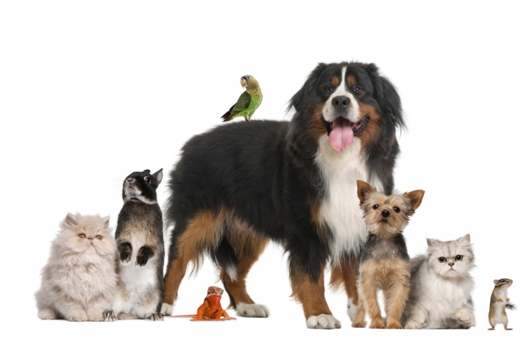Presidential hopefuls vying to win support of pet lovers