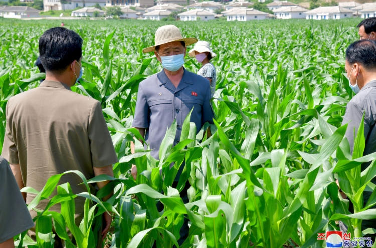 N. Korea puts major rice-producing areas on high alert against flooding