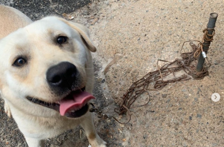 [Newsmaker] A majority of Koreans support ban on raising dogs on short leash