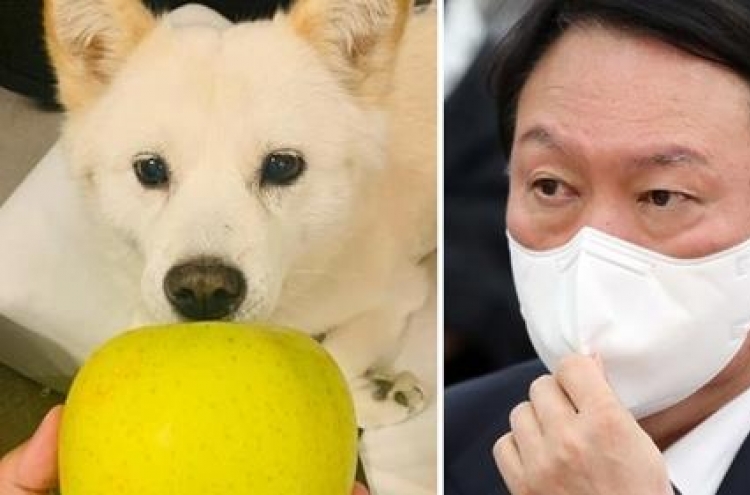 Yoon accused of 'mocking' nation with pic of dog with apple