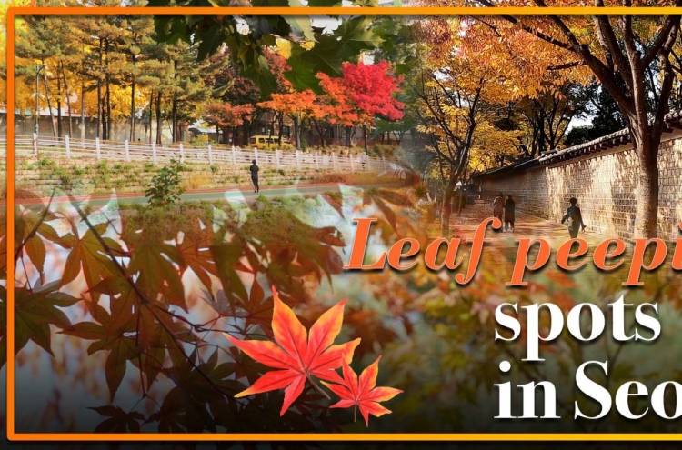 [Video] No need to look too far: Leaf peeping spots in Seoul
