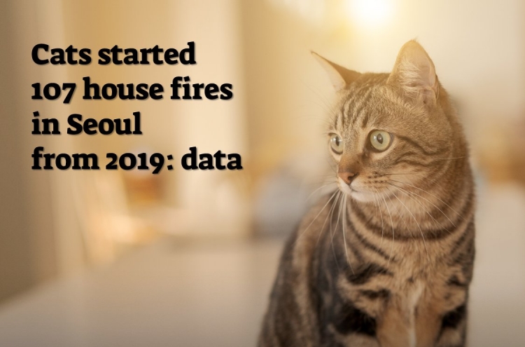 Cats responsible for 107 house fires in Seoul in past 3 yrs