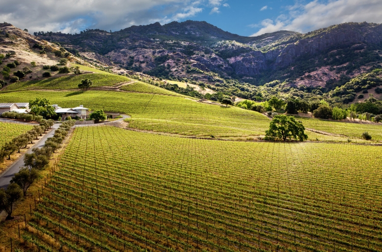 Shinsegae acquires Napa Valley winery for W299.6b