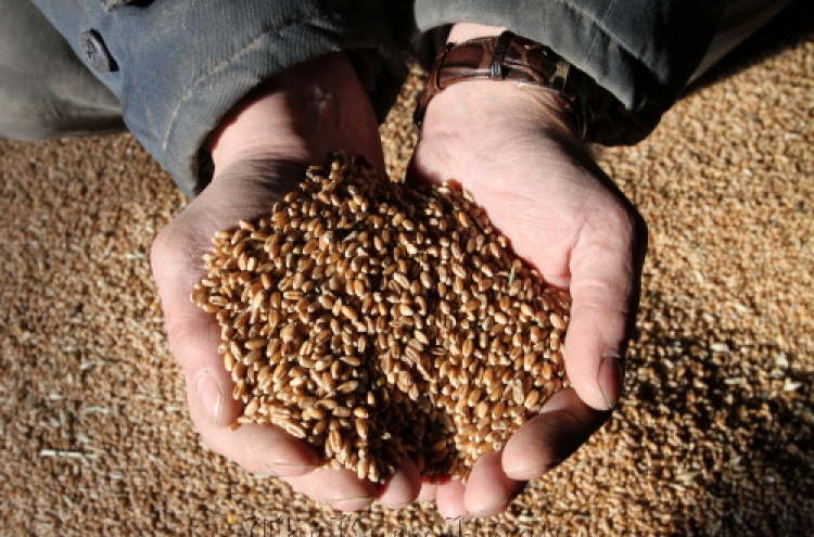 Grain import prices soar 47% over 2 years