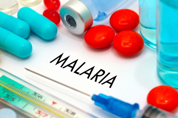 S. Korea reports 193 cases of malaria so far this year