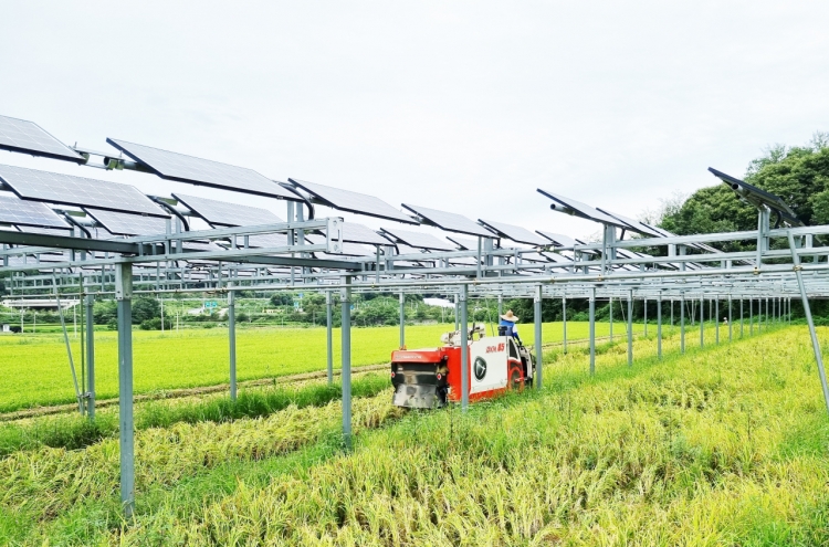 [From the Scene] Growing crops under solar panels: Korea tests agrivoltaic farm