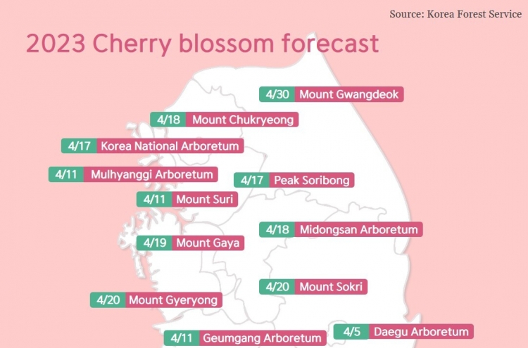 [Photo News] When is peak cherry blossom season?
