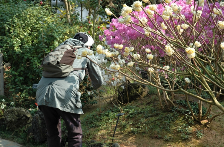Salute spring at Hwaseong Botanical Garden