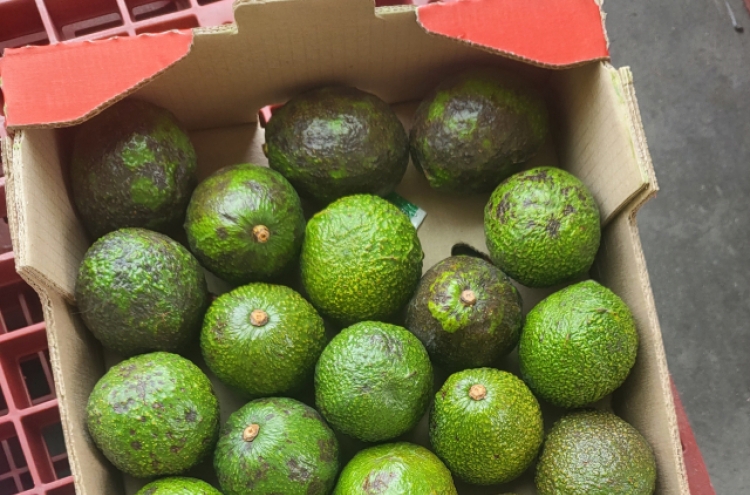 Colombian avocados found to have excessive level of pesticides