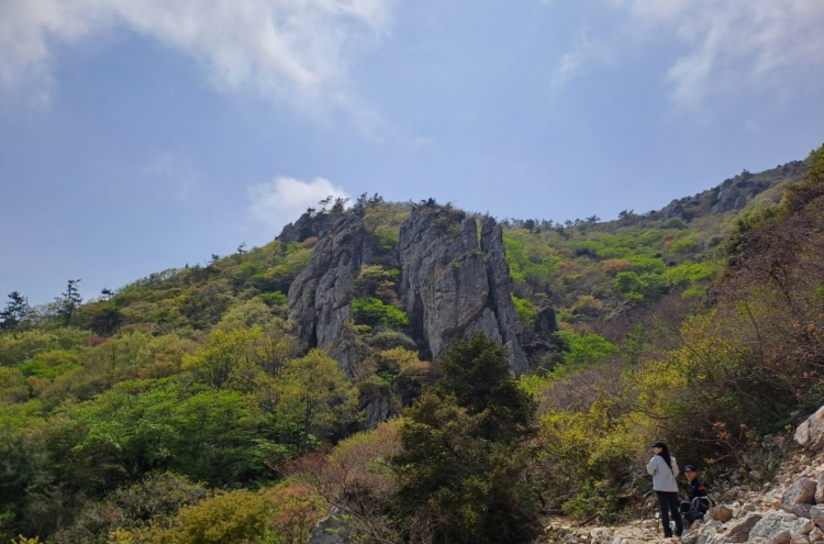 [One with Nature] Find stamps, hike nature-friendly Dalmasan Trail in Haenam