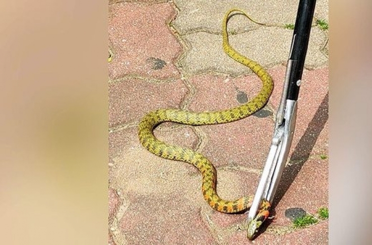 Venomous snake removed from a Seoul apartment complex