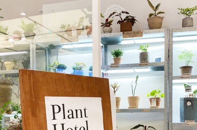 Are pet plants, plant butlers the latest trend or a form of therapy?