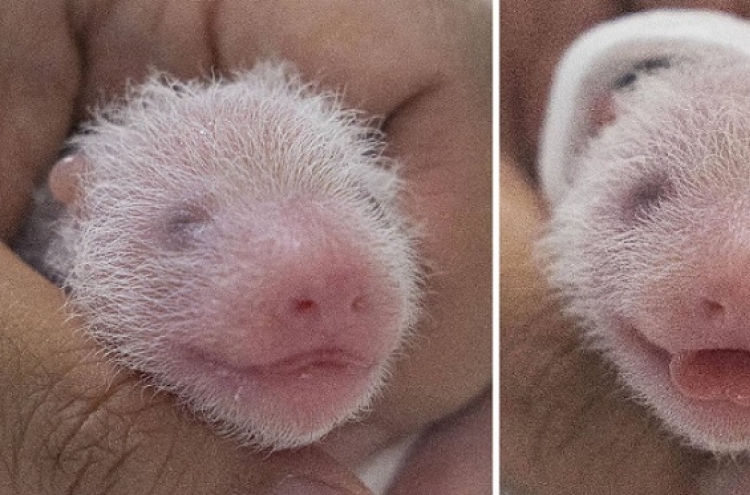 Twin pandas born in S. Korea for the first time