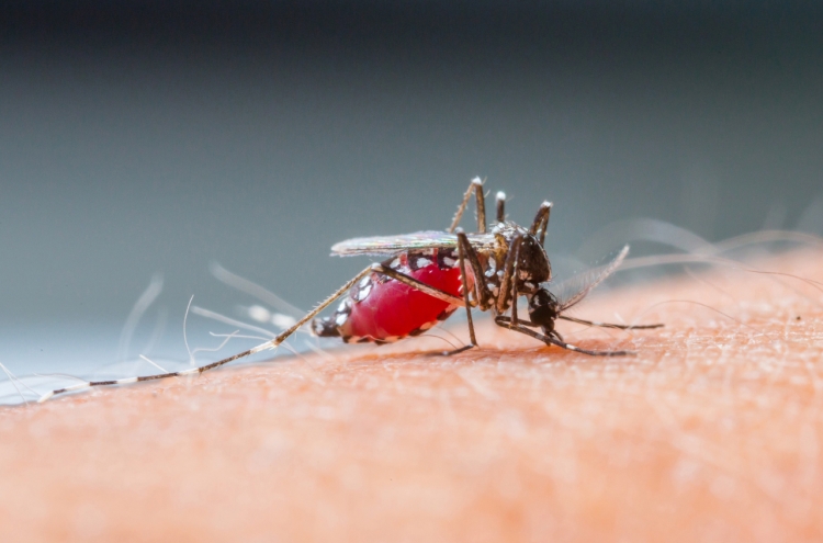 Malaria on the rise in Korea
