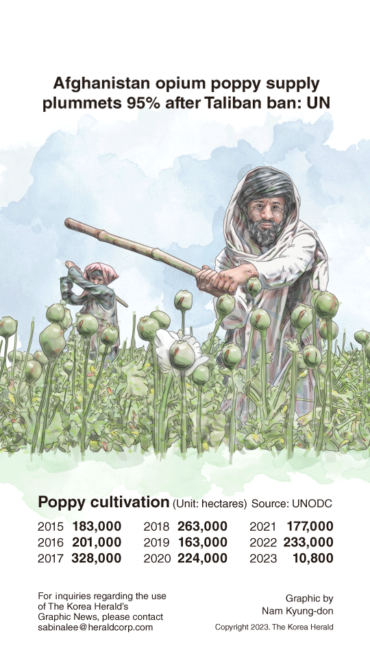 [Graphic News] Afghanistan opium poppy supply plummets 95% after Taliban ban: UN